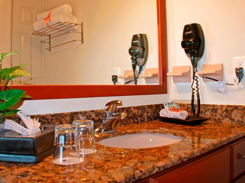 Suite Estudio